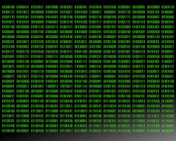 Binary Introduction