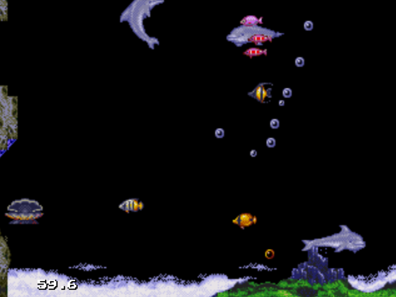 Ecco The Dolphin